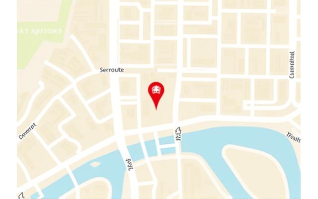 Carte de notre emplacement à Lyon